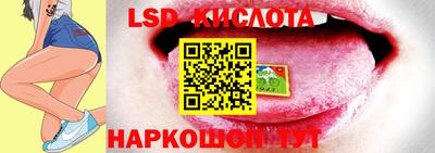 амф Гусев