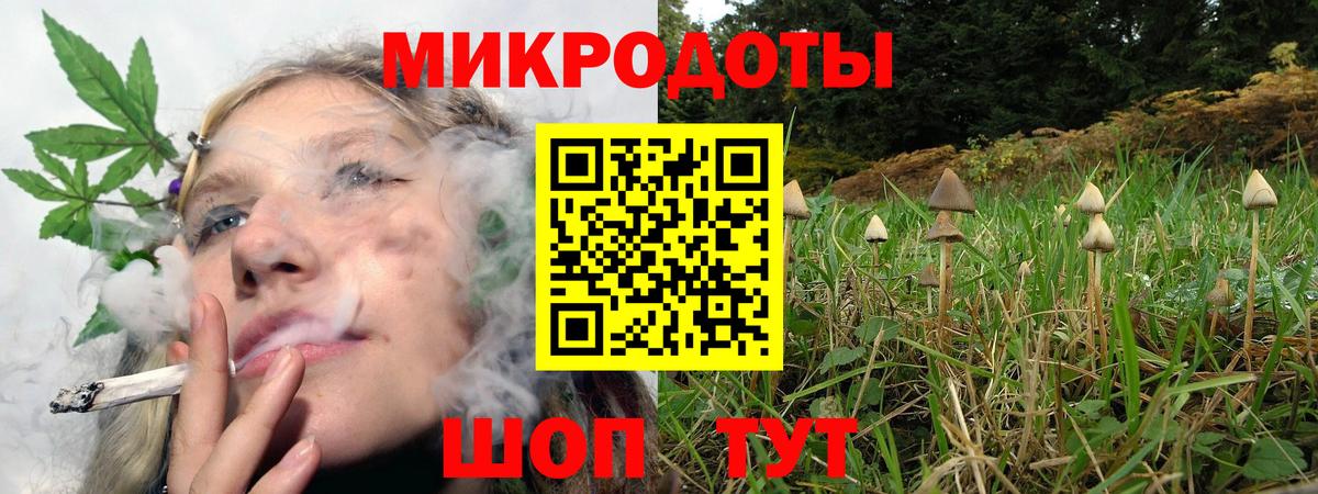 Галлюциногенные грибы Cubensis  Псилоцибиновые грибы Psilocybine cubensis  Вход с VPN  Мирный 